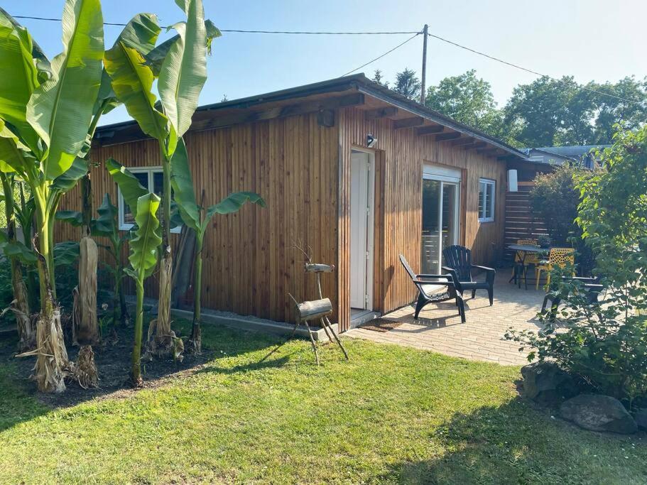 Gite Vogelau Schiltigheim Zewnętrze zdjęcie